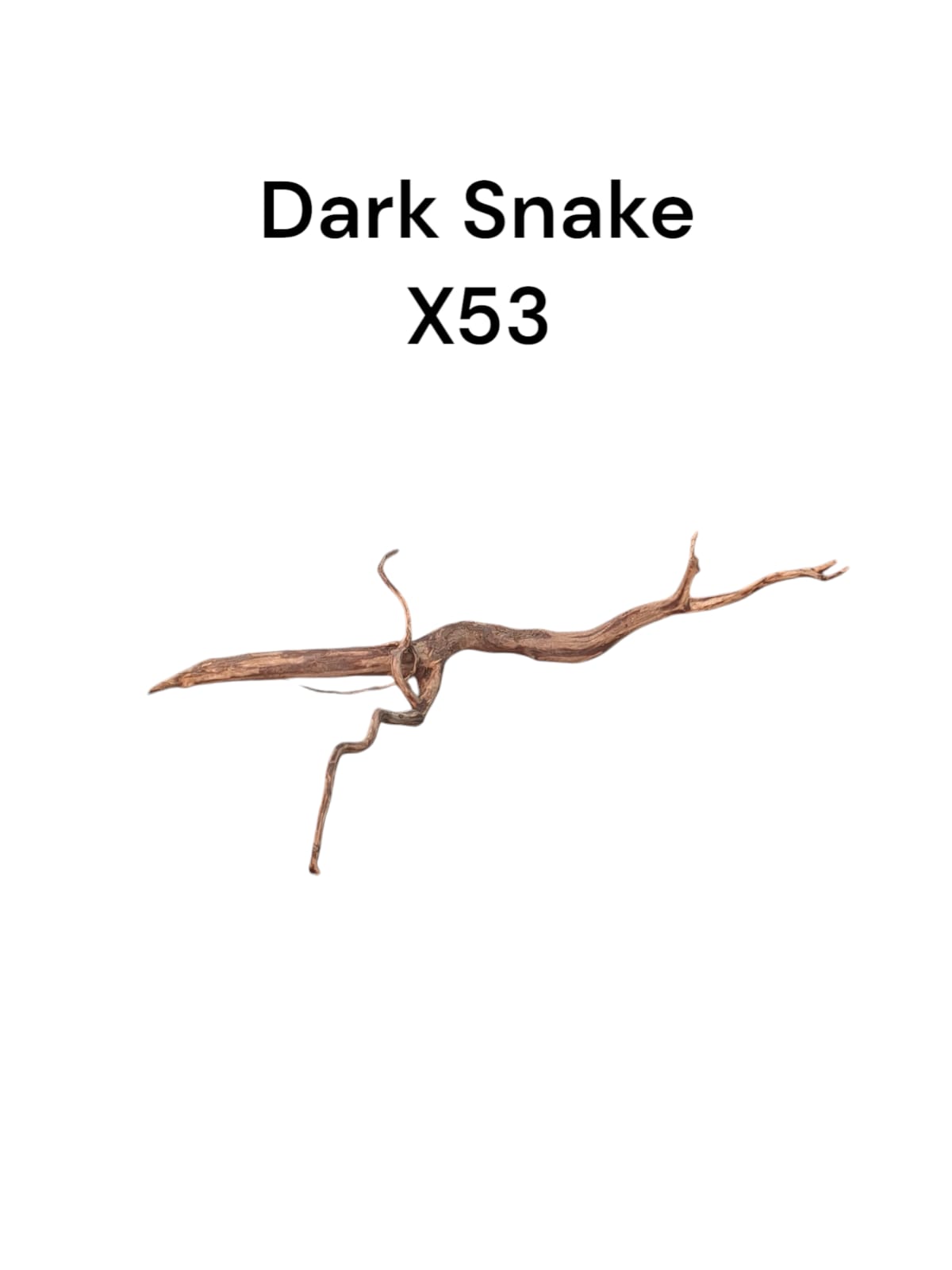 Dark Snake Wood X53